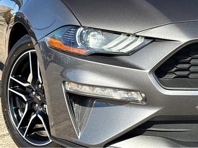 2023 Ford Mustang EcoBoost