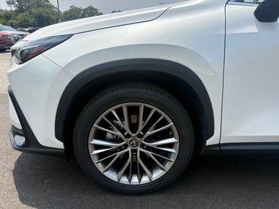 2023 Lexus NX 